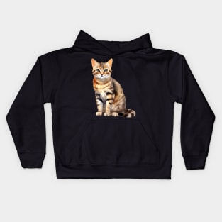 American Ringtail Kids Hoodie